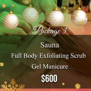 Christmas Package 3