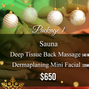 Christmas Package 1