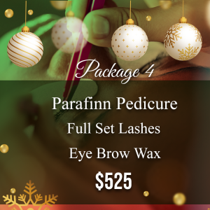 Christmas Package 4